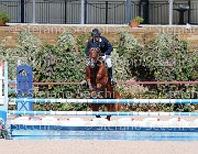 CHIAUDANI Sly GioCav2013 S5 1772 : CHIAUDANI Natale, Campionati Italiani Giovani Cavalli, Cattolica, Sly della Magnifica, ph Stefano Secchi ©