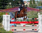 CHIAUDANI Sly GioCav2013 S5 4626 : CHIAUDANI Natale, Horses, Sly della Magnifica, ph Stefano Secchi ©