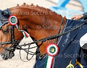 CHIAUDANI Sly GioCav2013 S5 4716 : CHIAUDANI Natale, Horses, Sly della Magnifica, ph Stefano Secchi ©