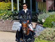 CHIAUDANI Sly GioCav2013 S5 4765 : CHIAUDANI Natale, Horses, Sly della Magnifica, ph Stefano Secchi ©