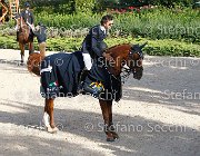 CHIAUDANI Sly GioCav2013 S6 7886 : CHIAUDANI Natale, Horses, Sly della Magnifica, ph Stefano Secchi ©