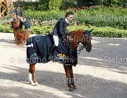 CHIAUDANI Sly GioCav2013 S6 7887 : CHIAUDANI Natale, Horses, Sly della Magnifica, ph Stefano Secchi ©
