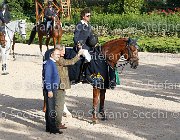 CHIAUDANI Sly GioCav2013 S6 7890 : CHIAUDANI Natale, Horses, Sly della Magnifica, ph Stefano Secchi ©