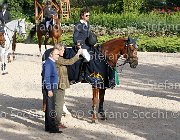 CHIAUDANI Sly GioCav2013 S6 7891 : CHIAUDANI Natale, Horses, Sly della Magnifica, ph Stefano Secchi ©