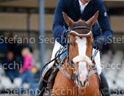 Cinelli Verron GioCav2013 S5 2541 : Campionati Italiani Giovani Cavalli, Cattolica, Cinelli Vincenzo, Verron, ph Stefano Secchi ©