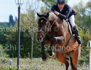 Cocconi Canturado GioCav2013 S5 3127 : Campionati Italiani Giovani Cavalli, Canturado della Caccia, Cattolica, Cocconi Alberto, ph Stefano Secchi ©