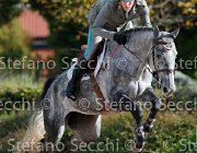 Codecasa Dream GioCav2013 S5 1218 : Campionati Italiani Giovani Cavalli, Cattolica, Codecasa Filippo, Dream di san patrignano, ph Stefano Secchi ©