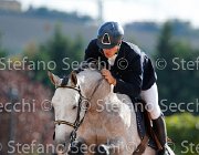 COLOMBO Toni GioCav2013 S5 3326 : COLOMBO Alessandro, Campionati Italiani Giovani Cavalli, Cattolica, Toni di Boscochiaro, ph Stefano Secchi ©