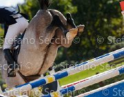 COLOMBO Toni GioCav2013 S5 3331 : COLOMBO Alessandro, Campionati Italiani Giovani Cavalli, Cattolica, Toni di Boscochiaro, ph Stefano Secchi ©
