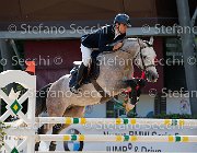 COLOMBO Toni GioCav2013 S5 3334 : COLOMBO Alessandro, Campionati Italiani Giovani Cavalli, Cattolica, Toni di Boscochiaro, ph Stefano Secchi ©