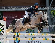 COLOMBO Toni GioCav2013 S5 3335 : COLOMBO Alessandro, Campionati Italiani Giovani Cavalli, Cattolica, Toni di Boscochiaro, ph Stefano Secchi ©