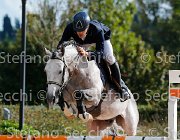 COLOMBO Toni GioCav2013 S5 3337 : COLOMBO Alessandro, Campionati Italiani Giovani Cavalli, Cattolica, Toni di Boscochiaro, ph Stefano Secchi ©