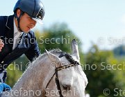 COLOMBO Toni GioCav2013 S5 3349 : COLOMBO Alessandro, Campionati Italiani Giovani Cavalli, Cattolica, Toni di Boscochiaro, ph Stefano Secchi ©