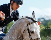 COLOMBO Toni GioCav2013 S5 3350 : COLOMBO Alessandro, Campionati Italiani Giovani Cavalli, Cattolica, Toni di Boscochiaro, ph Stefano Secchi ©