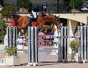 Colombo XX GioCav2013 S5 1933 : COLOMBO Alessandro, Campionati Italiani Giovani Cavalli, Cattolica, ph Stefano Secchi ©