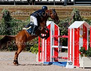 Colombo XX GioCav2013 S5 1942 : COLOMBO Alessandro, Campionati Italiani Giovani Cavalli, Cattolica, ph Stefano Secchi ©