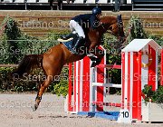 Colombo XX GioCav2013 S5 1943 : COLOMBO Alessandro, Campionati Italiani Giovani Cavalli, Cattolica, ph Stefano Secchi ©