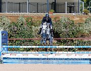 colombo xx GioCav2013 S5 1664 : 7 anni, COLOMBO Alessandro, Campionati Italiani Giovani Cavalli, Cattolica, ph Stefano Secchi ©