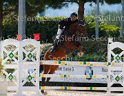 D'andrea Piceno GioCav2013 S5 3193 : Campionati Italiani Giovani Cavalli, Cattolica, D'andrea Vincenzo, Piceno, ph Stefano Secchi ©