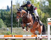 D'andrea Piceno GioCav2013 S5 3201 : Campionati Italiani Giovani Cavalli, Cattolica, D'andrea Vincenzo, Piceno, ph Stefano Secchi ©