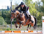 D'andrea Piceno GioCav2013 S5 3202 : Campionati Italiani Giovani Cavalli, Cattolica, D'andrea Vincenzo, Piceno, ph Stefano Secchi ©
