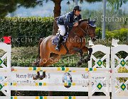 D'aquila Adretto GioCav2013 S5 3094 : Adretto FZ, Campionati Italiani Giovani Cavalli, Cattolica, D'aquila Fabio, ph Stefano Secchi ©
