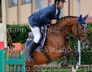 D'aquila Basilea GioCav2013 S5 4268 : Basilea, Campionati Italiani Giovani Cavalli, Cattolica, D'aquila Fabio, ph Stefano Secchi ©