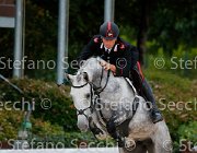 Datti Contekas GioCav2013 S5 1108 : Campionati Italiani Giovani Cavalli, Cattolica, Contekas, Datti Nicola, ph Stefano Secchi ©