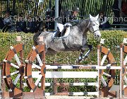 Fabiani Ulander GioCav2013 S6 7395 : Campionati Italiani Giovani Cavalli, Cattolica, Fabiani Valentina, Ulander, ph Stefano Secchi ©