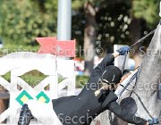 Fabiani Ulander GioCav2013 S6 7405 : Campionati Italiani Giovani Cavalli, Cattolica, Fabiani Valentina, Ulander, ph Stefano Secchi ©