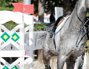 Fabiani Ulander GioCav2013 S6 7407 : Campionati Italiani Giovani Cavalli, Cattolica, Fabiani Valentina, Ulander, ph Stefano Secchi ©