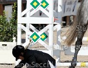 Fabiani Ulander GioCav2013 S6 7410 : Campionati Italiani Giovani Cavalli, Cattolica, Fabiani Valentina, Ulander, ph Stefano Secchi ©