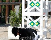 Fabiani Ulander GioCav2013 S6 7411 : Campionati Italiani Giovani Cavalli, Cattolica, Fabiani Valentina, Ulander, ph Stefano Secchi ©