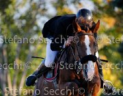 Falzini Idea GioCav2013 S5 3535 : Campionati Italiani Giovani Cavalli, Cattolica, Falzini Stefano, Idea meravigliosa, ph Stefano Secchi ©