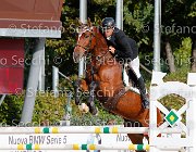 Falzini Nakupenda GioCav2013 S5 1272 : Campionati Italiani Giovani Cavalli, Cattolica, Falzini Stefano, Nakupenda, ph Stefano Secchi ©