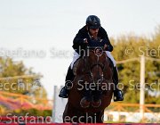 FRANA Arcibaldo GioCav2013 S5 3538 : Arcibaldo, Campionati Italiani Giovani Cavalli, Cattolica, FRANA Enrico Maria, ph Stefano Secchi ©