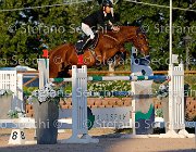 FRANA Arcibaldo GioCav2013 S5 3544 : Arcibaldo, Campionati Italiani Giovani Cavalli, Cattolica, FRANA Enrico Maria, ph Stefano Secchi ©