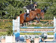 FRANA Arcibaldo GioCav2013 S6 7629 : Arcibaldo, Campionati Italiani Giovani Cavalli, Cattolica, FRANA Enrico Maria, ph Stefano Secchi ©