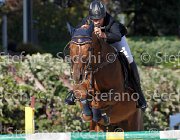 FRANA Arcibaldo GioCav2013 S6 7632 : Arcibaldo, Campionati Italiani Giovani Cavalli, Cattolica, FRANA Enrico Maria, ph Stefano Secchi ©