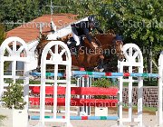 FRANA Pakitas GioCav2013 S6 7526 : Campionati Italiani Giovani Cavalli, Cattolica, FRANA Enrico Maria, Pakitas, ph Stefano Secchi ©