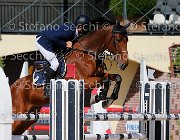 FRANCO CSI GioCav2013 S5 1718 : CSI, Campionati Italiani Giovani Cavalli, Cattolica, FRANCO Francesco, ph Stefano Secchi ©