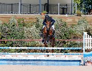 FRANCO CSI GioCav2013 S5 1723 : CSI, Campionati Italiani Giovani Cavalli, Cattolica, FRANCO Francesco, ph Stefano Secchi ©