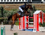 FRANCO CSI GioCav2013 S5 1727 : CSI, Campionati Italiani Giovani Cavalli, Cattolica, FRANCO Francesco, ph Stefano Secchi ©