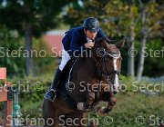 FRANCO Irixt GioCav2013 S5 1428 : Campionati Italiani Giovani Cavalli, Cattolica, FRANCO Francesco, Irixt, ph Stefano Secchi ©