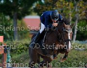 FRANCO Irixt GioCav2013 S5 1429 : Campionati Italiani Giovani Cavalli, Cattolica, FRANCO Francesco, Irixt, ph Stefano Secchi ©