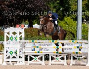 FRANCO Irixt GioCav2013 S5 1431 : Campionati Italiani Giovani Cavalli, Cattolica, FRANCO Francesco, Irixt, ph Stefano Secchi ©