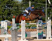 Galeazzi Giotto GioCav2013 S5 3486 : Campionati Italiani Giovani Cavalli, Cattolica, Galeazzi Chiara, Giotto di santa marta, ph Stefano Secchi ©