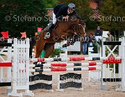 Giganti Quaynar GioCav2013 S5 2169 : Campionati Italiani Giovani Cavalli, Cattolica, Giganti Fernando, Quaynar, ph Stefano Secchi ©