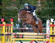 Giganti Quaynar GioCav2013 S5 2171 : Campionati Italiani Giovani Cavalli, Cattolica, Giganti Fernando, Quaynar, ph Stefano Secchi ©