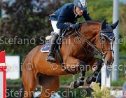 Gozzini CAntina GioCav2013 S5 3709 : CAntina, Campionati Italiani Giovani Cavalli, Cattolica, Gozzini Cristian, ph Stefano Secchi ©